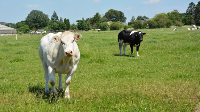 Les mesures prises découlent de la situation actuelle.