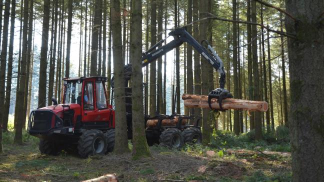 Les prix des épicés sains poursuivent leur hausse,  déjà observée au printemps dernier.
