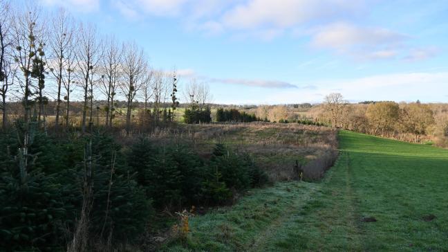 Parmi les six motifs d’opposition à la cession privilégiée, deux concernent la notification d’un congé.
