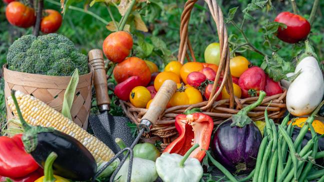 Parmi les destinations hors UE, le programme de promotion 2026 devrait cibler des régions et des pays présentant un fort potentiel de croissance pour les produits agroalimentaires européens.