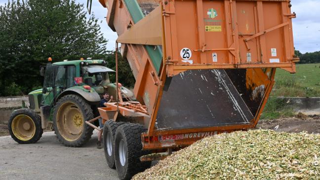 A la récolte, une teneur en matière sèche optimale comprise entre 32 et 36 % doit  être visée en vue, notamment, d’assurer la bonne conservation du silo.