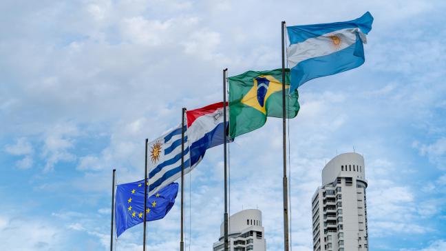 Le Parlement peut décider de saisir  la Cour de justice  de l’UE pour vérifier la compatibilité  de l’accord avec  les traités.