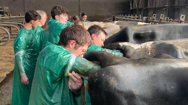 Le comité a organisé des tables rondes pour que vétérinaires praticiens  et étudiants puissent se rencontrer  et partager leurs préoccupations  sur leurs futures carrières.