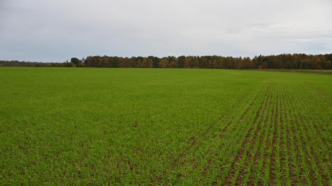 Le bail de carrière se prolongera, depuis sa prise de cours, jusqu’à l’atteinte, par le preneur, de l’âge légal de la pension. Dans le cas de plusieurs preneurs, la durée du bail est calculée sur base de l’âge du copreneur le moins âgé.