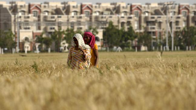 Pour le Copa-Cogeca, l'accord UE-Inde montre qu'une politique commerciale ambitieuse peut être compatible avec la protection de secteurs agricoles sensibles.