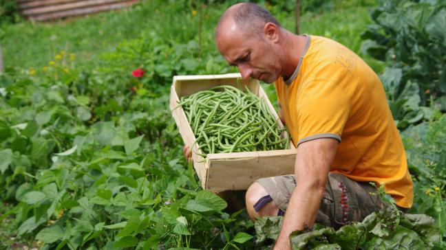 AdobeStock_201348989