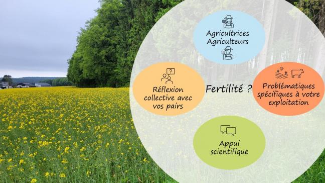 Le projet s’articule autour de quatre piliers.