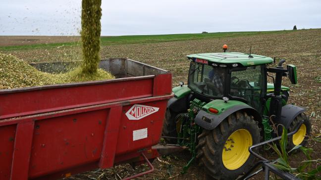 On ne sèmera plusieurs variétés sur une même parcelle que si leur précocité est fort proche. Dans le cas contraire, la conservation de l’ensilage sera compromise.