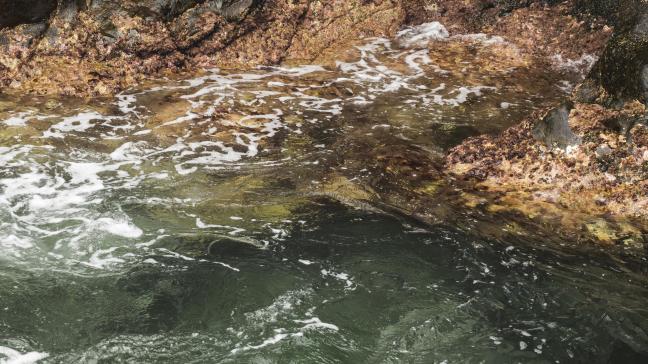 Ces services sont principalement liés à la gestion des déchets et à la gestion des eaux usées.