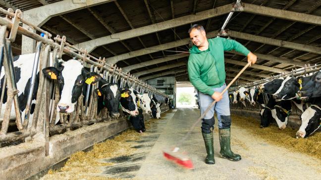 Parmi les facteurs mis en évidence par l’étude,  la charge administrative occupe une place particulière.