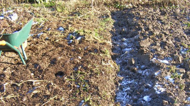 L'incorporation de matières organiques d'origine végétale se fait en surface ou dans les premiers centimètres du sol. Celles-ci seront transformées par la vie du sol jusqu'à la formation d'humus.