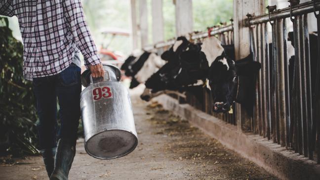 close-up-view-legs-farmer-working-with-fresh-grass-animal-barn