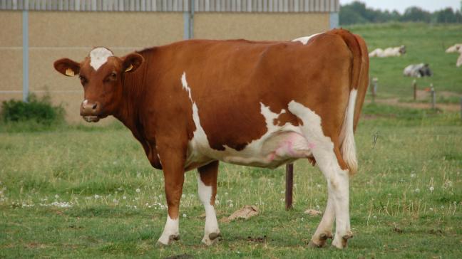 L’UE ne représente qu’une part limitée des émissions mondiales de gaz à effet de serre, et son agriculture encore moins ont rappelé les eurodéputés.