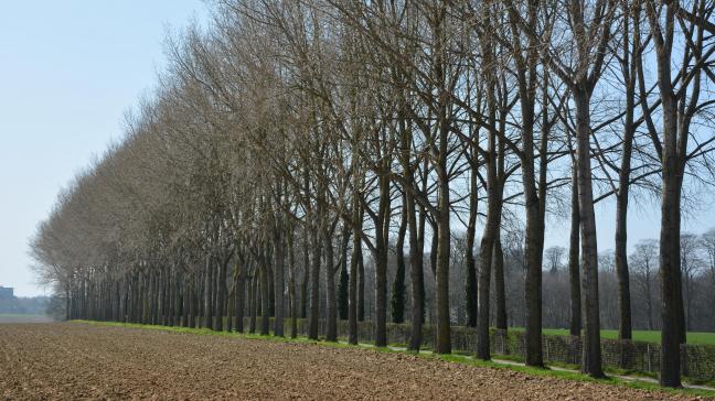 Le bail de fin de carrière n’a pas de durée propre déterminée par la loi.   Celle-ci varie d’un cas à l’autre, selon la situation effective.