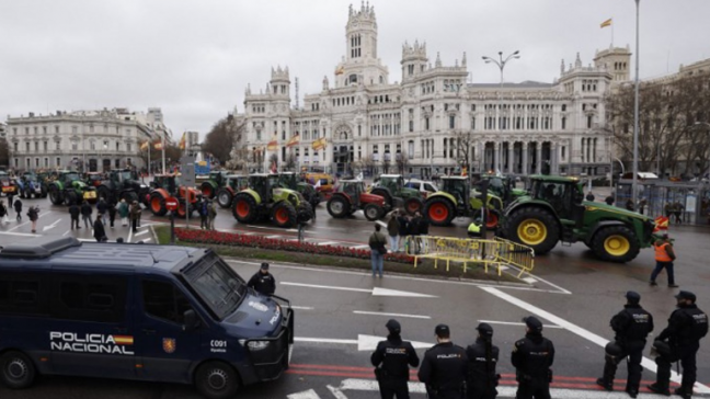 Les tracteurs ont convergé vers le centre de Madrid et parcouru ensemble le trajet entre une grande place et le ministère espagnol de l'Agriculture.