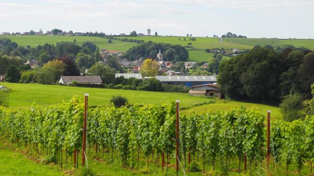 La stratégie vise à doter la Wallonie d’un véritable réseau territorial d’animation et de structuration.