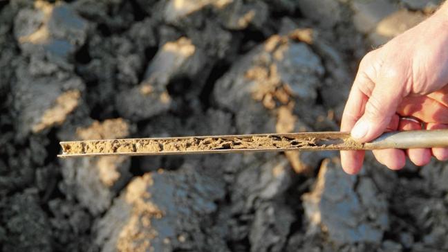 L’analyse de sol en sortie d’hiver constitue un élément essentiel du plan de fertilisation.