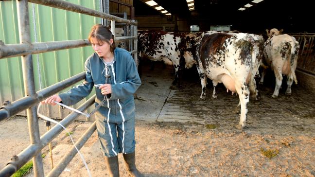 Les vaches ne connaissent ni les marchés mondiaux ni les contrats à six mois.  Elles doivent être traites, nourries, soignées, tous les jours, sans exception.