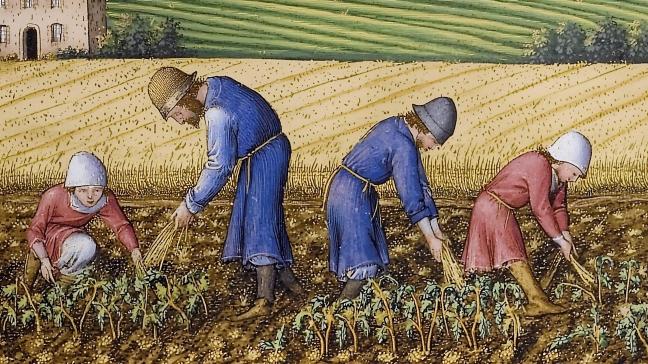 AdobeStock_1204893557