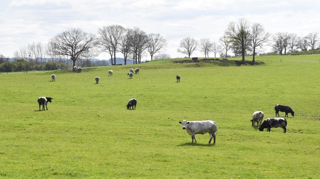 La terre introduit une autre temporalité, une autre mesure de l’utilité, une autre manière de renouer avec l’activité.