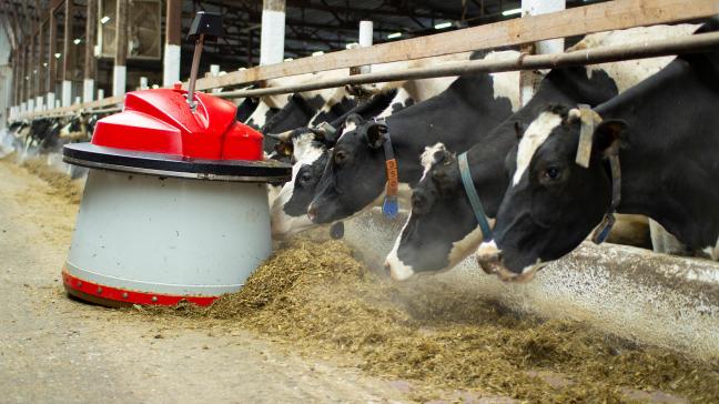 AdobeStock_343925569