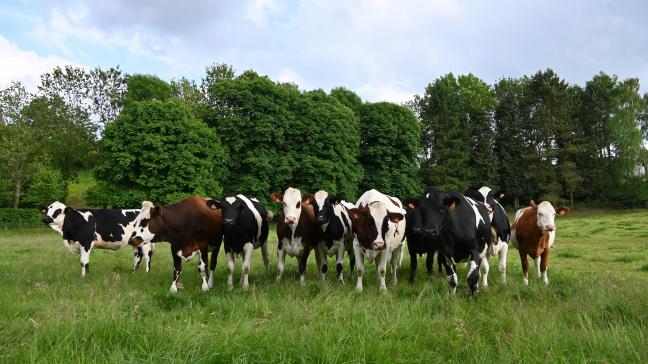 L’Arsia rappelle que les mesures de biosécurité sont 100 fois plus efficaces et 1000 fois moins couteuses que la vaccination pour protéger les troupeaux indemnes des contaminations par l’IBR.