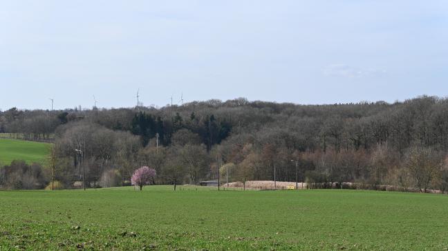 Le calcul du fermage d’une terre se construit sur base du revenu cadastral multiplié par un coefficient, propre à chaque région agricole et annuellement modifié.