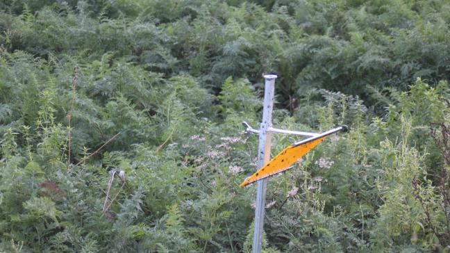 Les espèces animales comme les insectes sont soumises à des équilibres biologiques. Les auxiliaires sont déterminants et le maraîcher peut agir pour favoriser leur présence sur place presque en permanence.