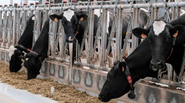 Dans un marché unique où les produits agricoles circulent librement, des niveaux de soutien très différents pourraient créer des distorsions de concurrence.