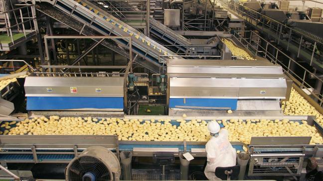 L’industrie belge de la pomme de terre, en 2024, pesait 6.708,8 équivalents temps plein. C’est dire si elle compte dans  le paysage agro-alimentaire.