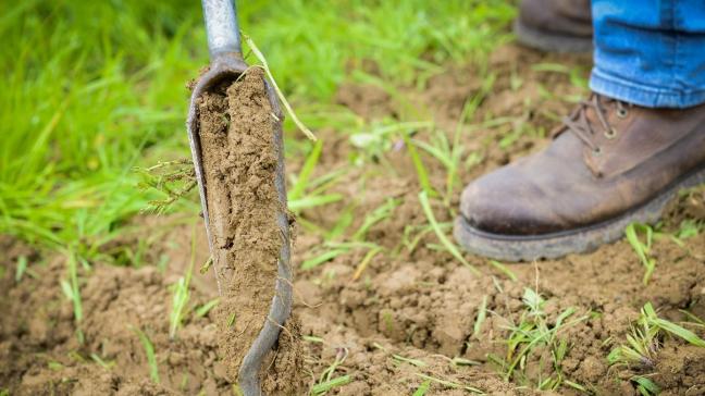 En complément, le module Ferti-culture  permet de déterminer les quantités d’azote  minéral à apporter à la parcelle.