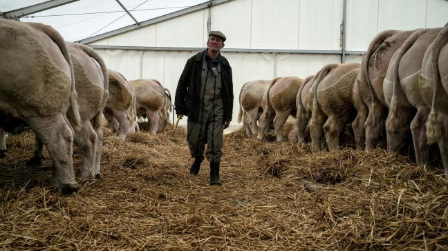 «Si l'on ne fait rien pour relancer l'élevage, on deviendra importateurs nets de viande»