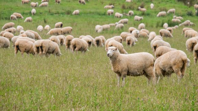 AdobeStock_194794838