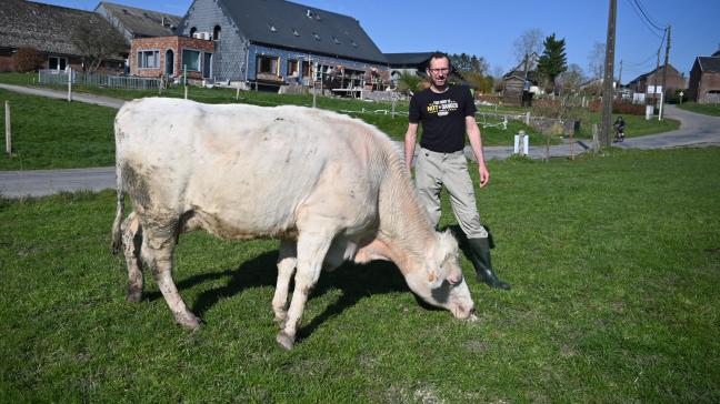 Même si cette race n’est pas la plus performante, elle continue de séduire grâce à sa polyvalence et sa rusticité. Des bovins également ancrés dans notre territoire.