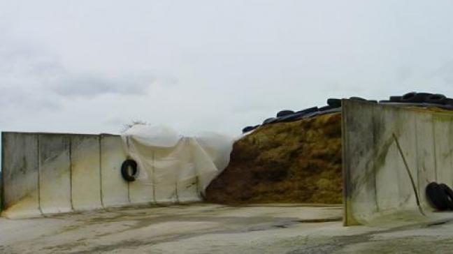 En cas d’écoulement, plusieurs mesures temporaires peuvent être prises dans l’attente d’une solution structurelle.