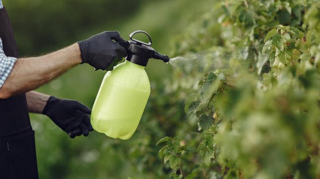 Pour les professionnel, le Gouvernement entend établir la liste des interdictions possibles en présence d'alternatives en concertation avec les syndicats agricoles.