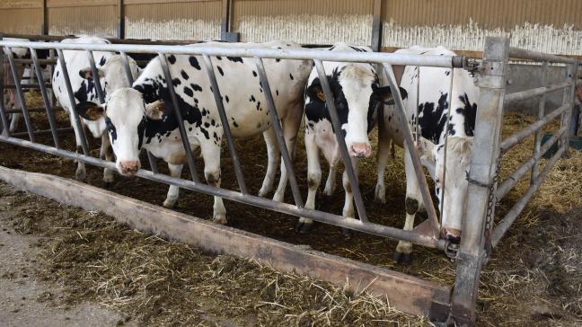 Cette réserve de 200.000 doses de vaccins constitue une mesure de précaution essentielle pour préserver la continuité des activités agricoles.