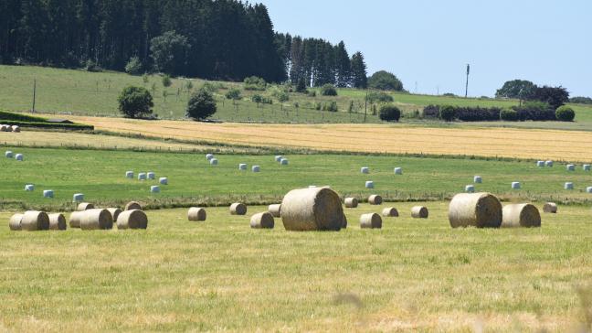 Les élus mettent en garde contre toute tentation de renationalisation du budget européen.