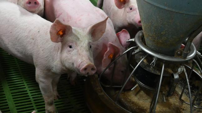 Le secteur poursuit par ailleurs ses efforts en matière d'innovation et de durabilité.