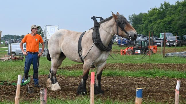 La Foire, dont la première édition a eu lieu en 1926 à l'initiative d'éleveurs de chevaux de trait ardennais, fêtera ses 100 ans.