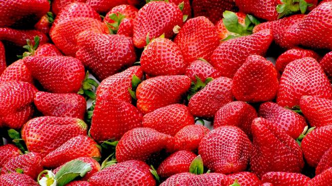 robertobarresi-strawberries-99551