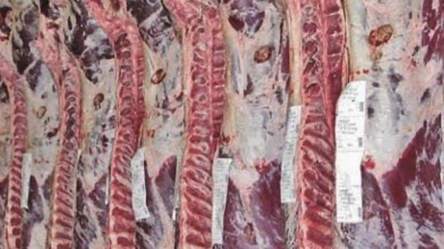 Cet accès aux données permettra de faciliter leur consultation par les éleveurs et contribuera à une meilleure transparence dans la filière bovine.