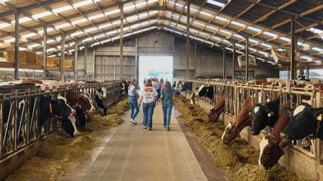 Afin d’en savoir plus, cet établissement organise des journées portes ouvertes les 27juin et 4septembre.
