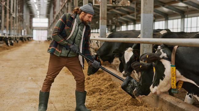 Les agriculteurs de moins de 40 ans, ils ne représentent plus qu’environ 11% des exploitants européens.