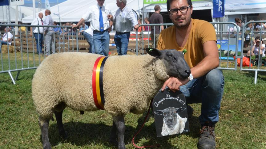 Champion des agneaux Bleu du Maine, à David Jacqmin, Herve.