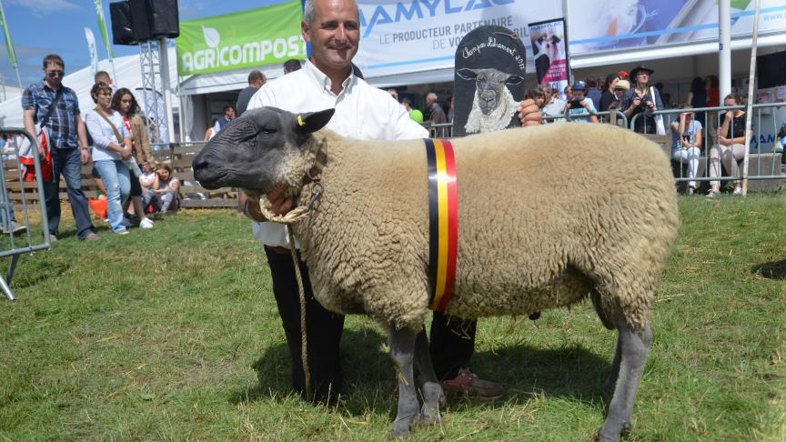 Champion des béliers Bleu  du Maine, à Bernard Lobet,  Nettine.