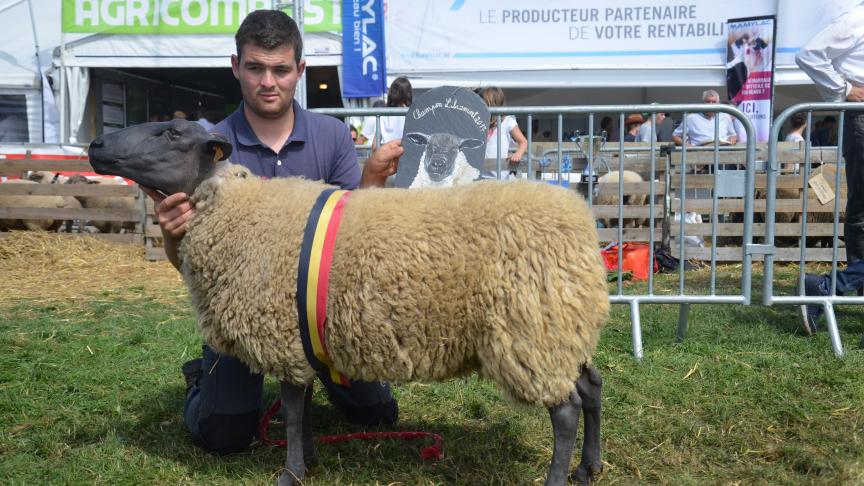 Championne des brebis Bleu du Maine, à Ennio Liesens, Riemst.