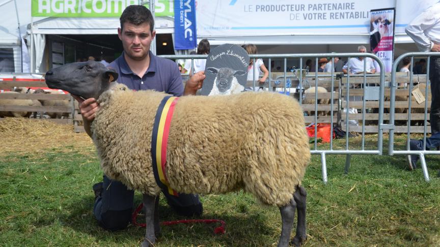 Championne des brebis Bleu  du Maine, à Ennio Liesens,  Riemst.