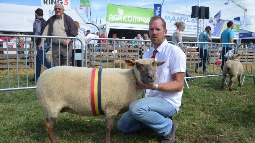 Championne des brebis Vendéen, à Dimitri Lesenfants, Vielsalm.