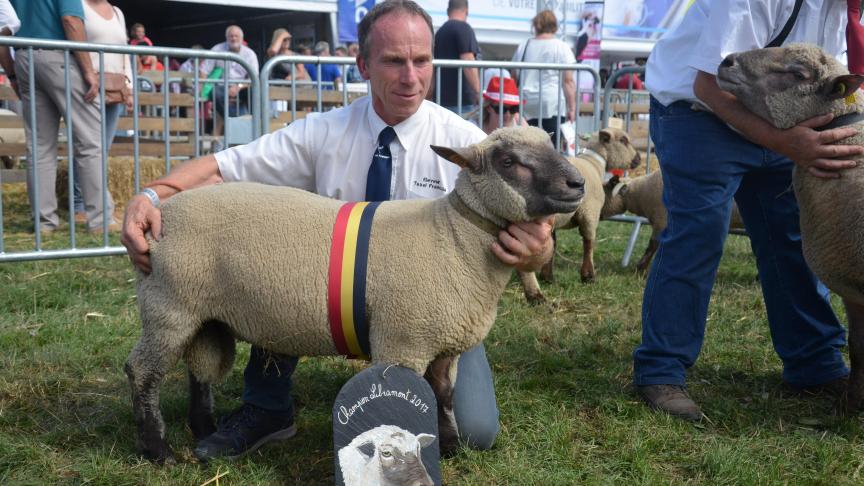 Champion des agneaux Vendéen, à Philippe Delvaux, Blégny.